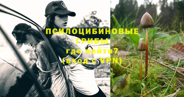 гашиш Покачи