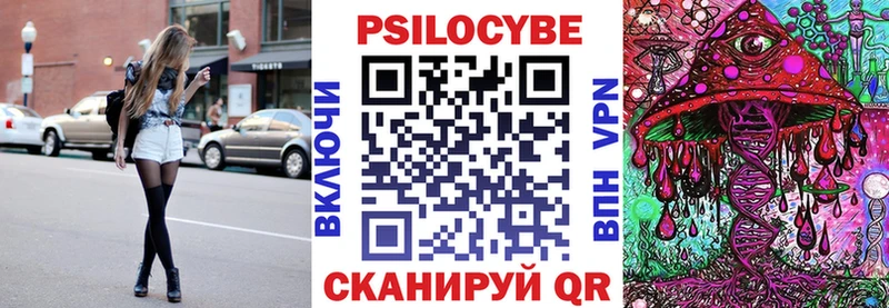 Купить где  Рославль  Галлюциногенные грибы Psilocybe 